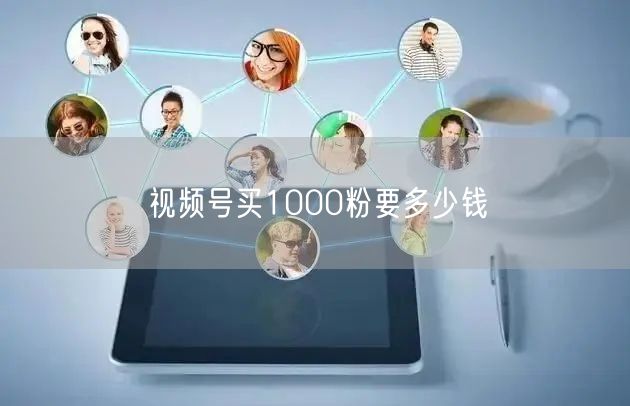 视频号买1000粉要多少钱