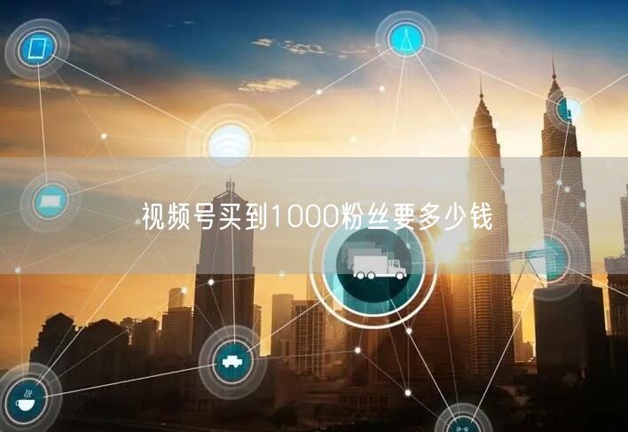 视频号买到1000粉丝要多少钱