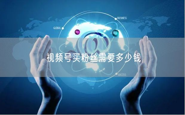 视频号买粉丝需要多少钱