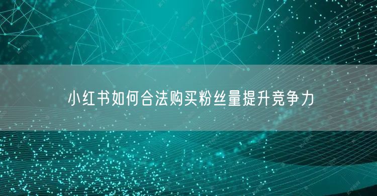 小红书如何合法购买粉丝量提升竞争力