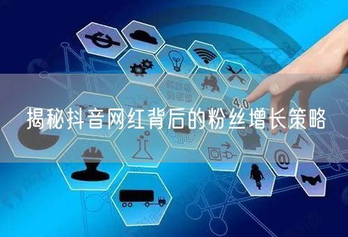 揭秘抖音网红背后的粉丝增长策略