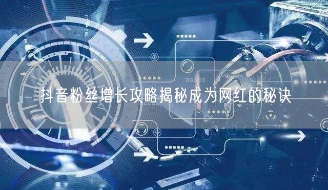 抖音粉丝增长攻略揭秘成为网红的秘诀